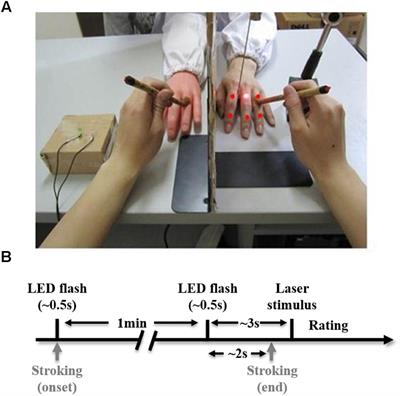 Attenuation of Pain Perception Induced by the Rubber Hand Illusion